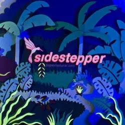Album artwork for Supernatural Love by Sidestepper
