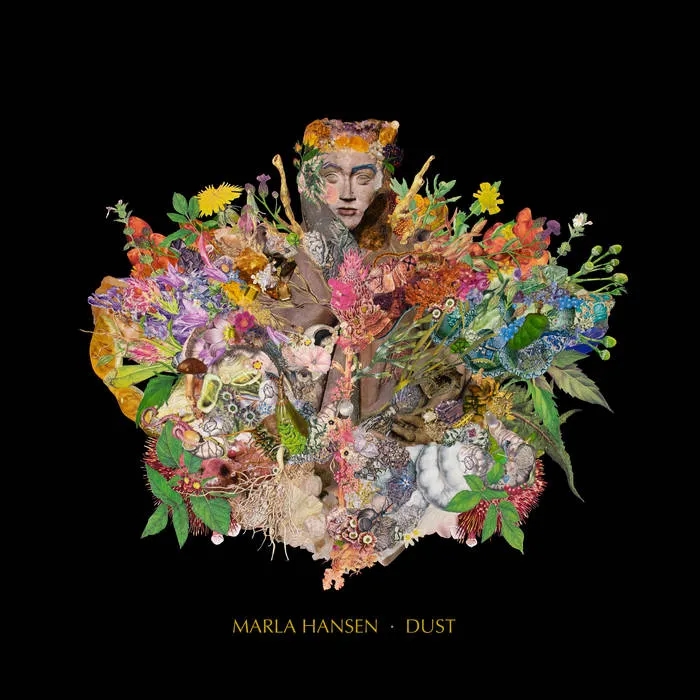 Album artwork for Dust by Marla Hansen