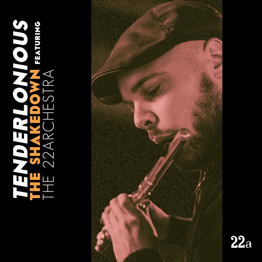 Album artwork for The Shakedown Feat. The 22Archestra by Tenderlonious