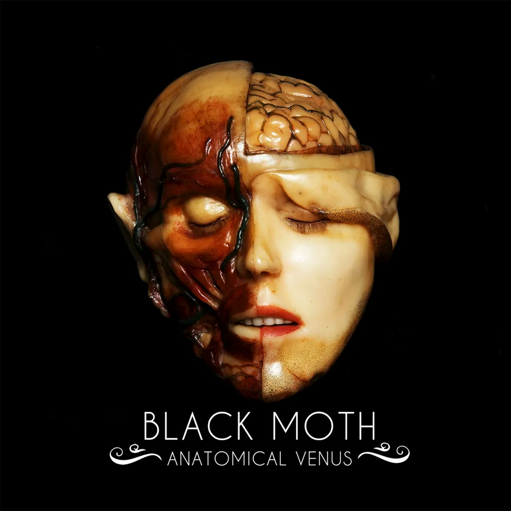 Album artwork for Anatomical Venus by Black Moth