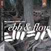 Album artwork for Ebb & Flow by Joel Futterman, Chad Fowler, and Steve Hirsh