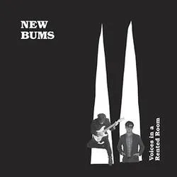 Album artwork for Voices in a Rented Room by New Bums