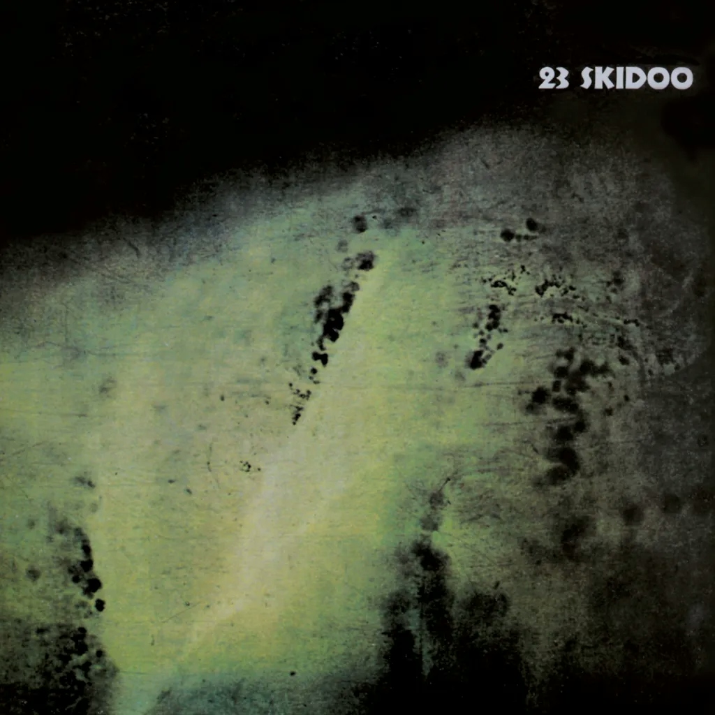 Album artwork for The Culling Is Coming by 23 Skidoo