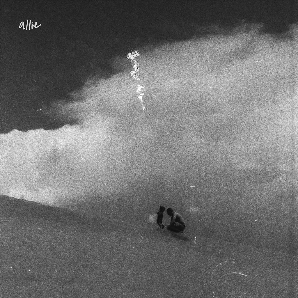 Album artwork for cast iron / infinite jesters by Allie