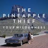 Album artwork for Your Wilderness by The Pineapple Thief