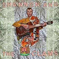 Album artwork for Sleep Talk by Shannon and The Clams