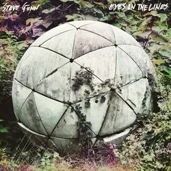 Album artwork for Eyes on the Lines by Steve Gunn