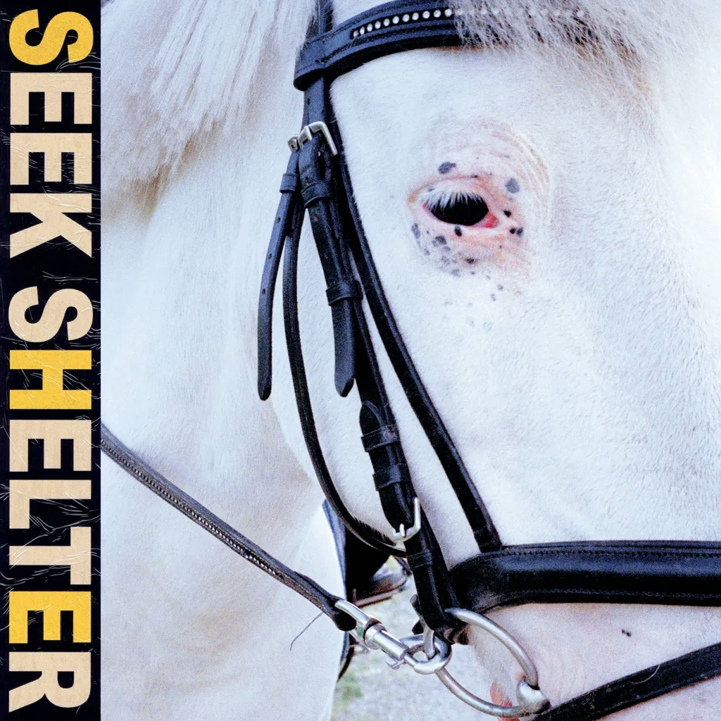 Album artwork for Seek Shelter by Iceage