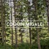 Album artwork for Munro by Coquin Migale