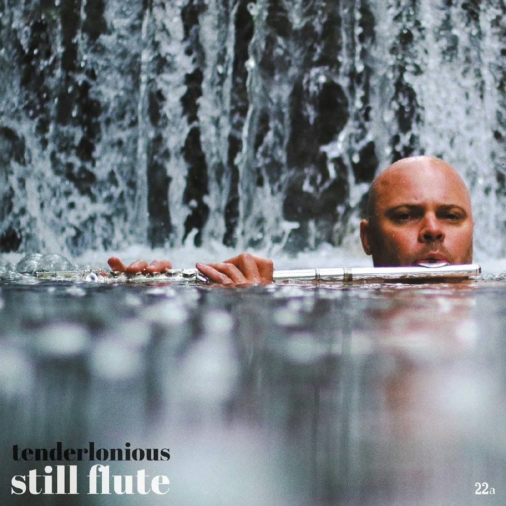 Album artwork for Still Flute by Tenderlonious