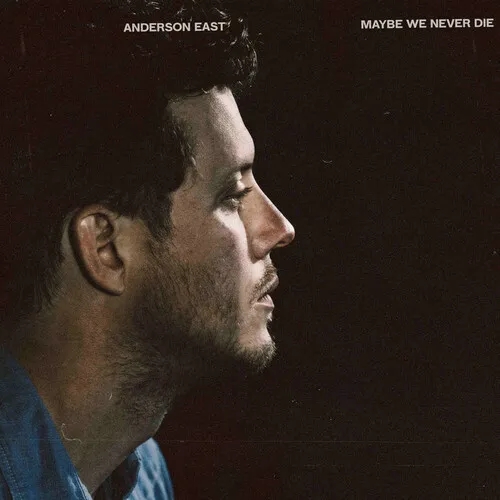 Album artwork for Maybe We Never Die by Anderson East