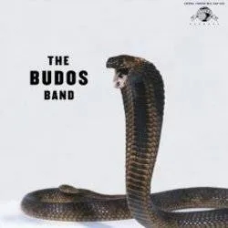Album artwork for The Budos Band III by The Budos Band