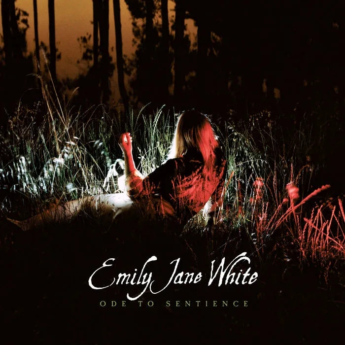 Album artwork for Ode To Sentience by Emily Jane White