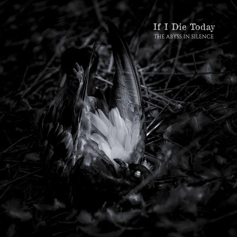Album artwork for The Abyss in Silence by If I Die Today
