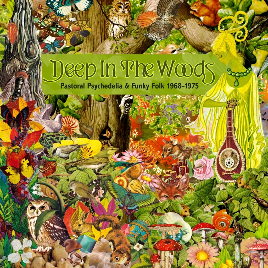Album artwork for Album artwork for Deep In The Woods – Pastoral Psychedelia and Funky Folk 1968-1975 by Various by Deep In The Woods – Pastoral Psychedelia and Funky Folk 1968-1975 - Various
