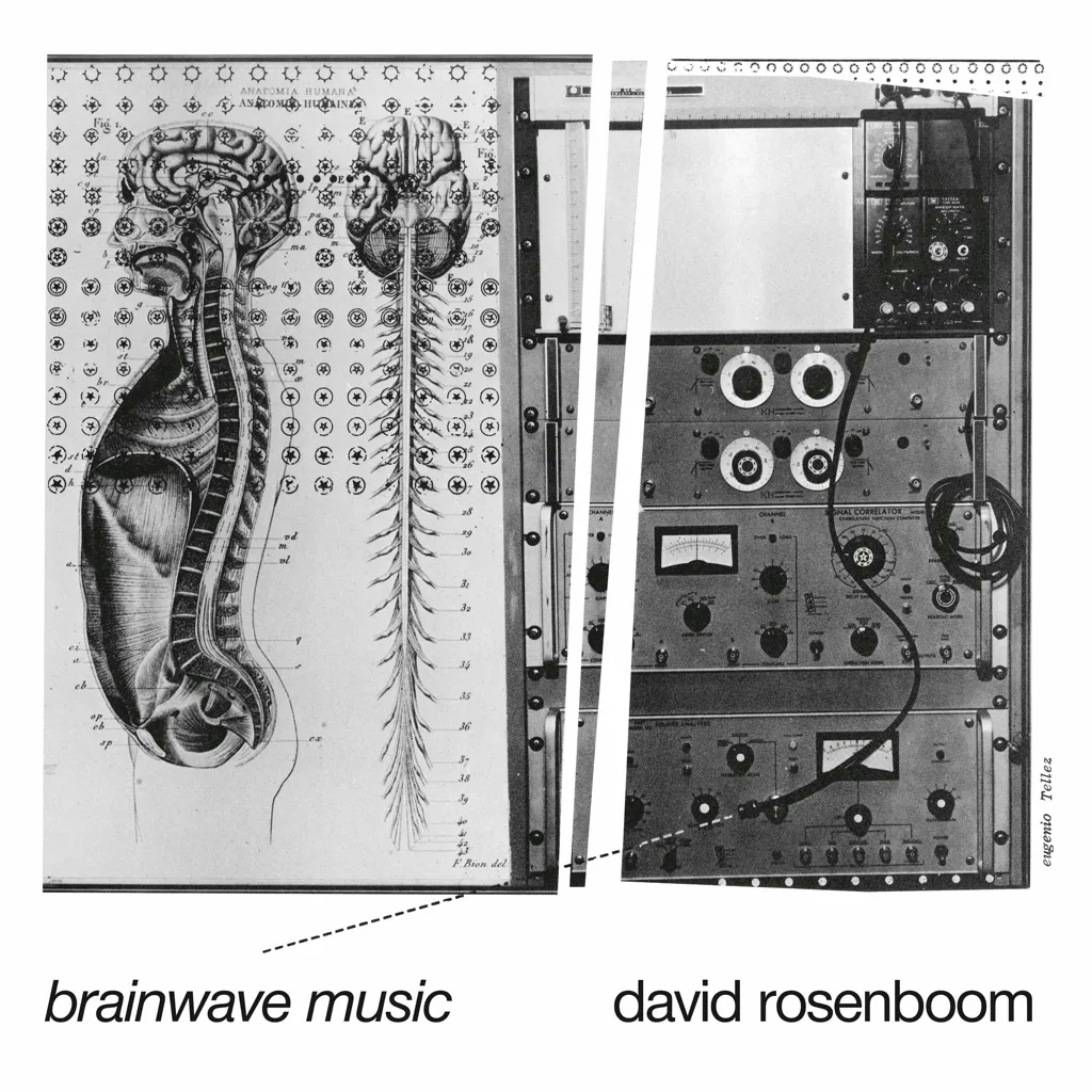 Album artwork for Brainwave Music by David Rosenboom