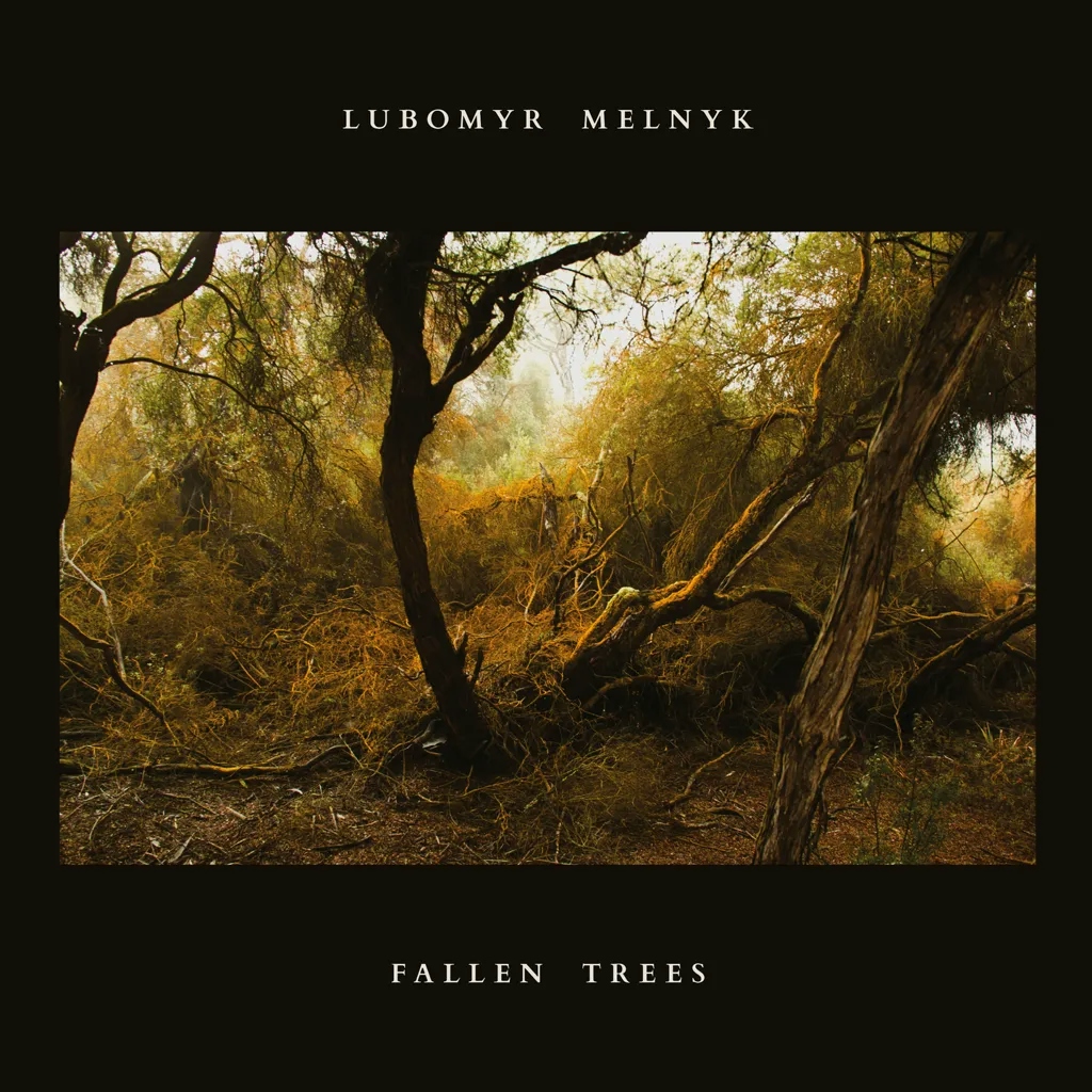 Album artwork for Fallen Trees by Lubomyr Melnyk
