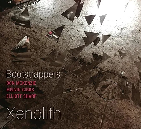 Album artwork for Xenolith by Bootstrappers