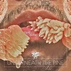 Album artwork for Underneath The Pine by Toro Y Moi