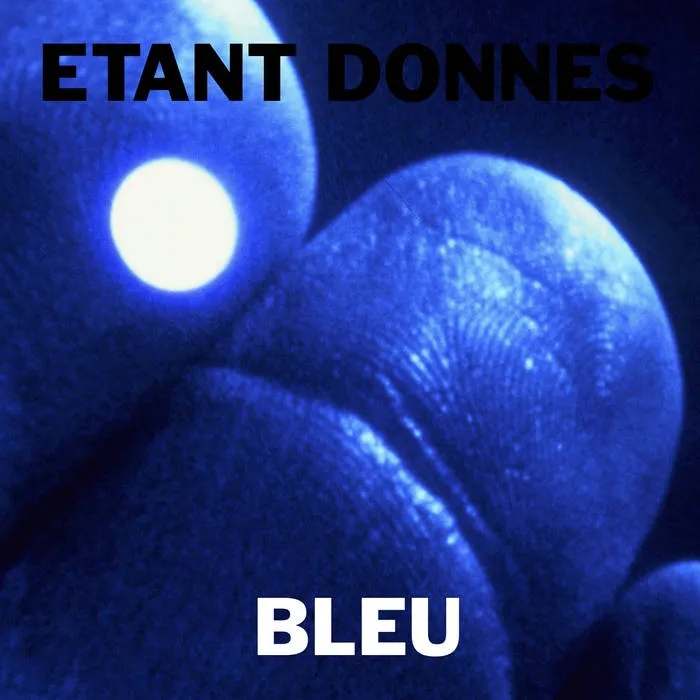 Album artwork for Bleu by Etant Donnes