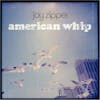 Album artwork for American Whip (Reissue) by Joy Zipper