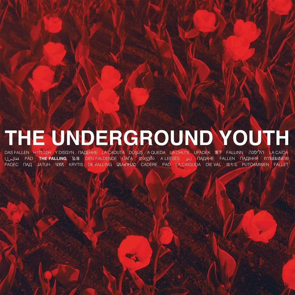 Album artwork for The Falling by The Underground Youth
