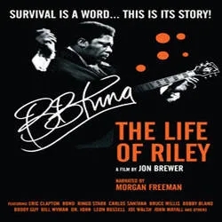 Album artwork for The Life of Riley by BB King