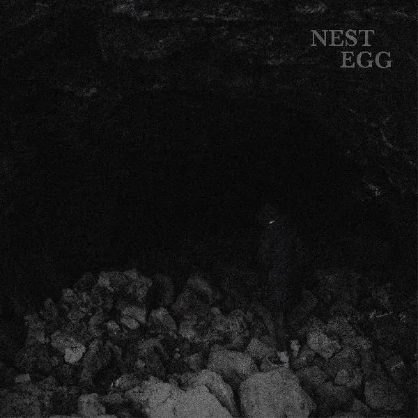 Album artwork for Nothingness Is Not A Curse by Nest Egg