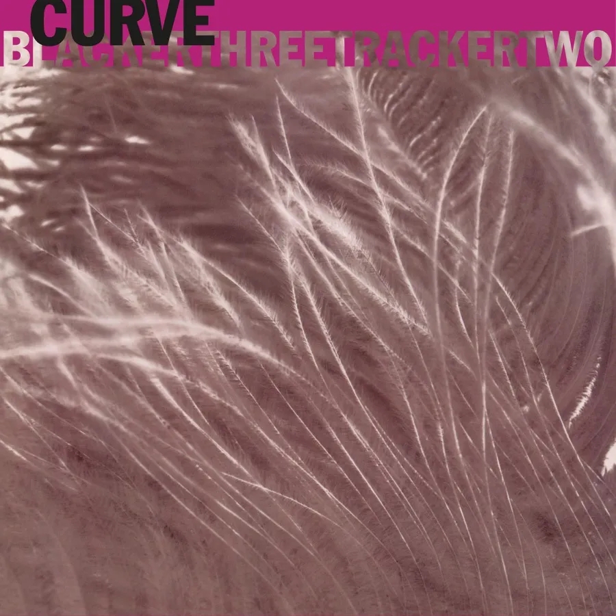 Album artwork for Blackerthreetrackertwo by Curve