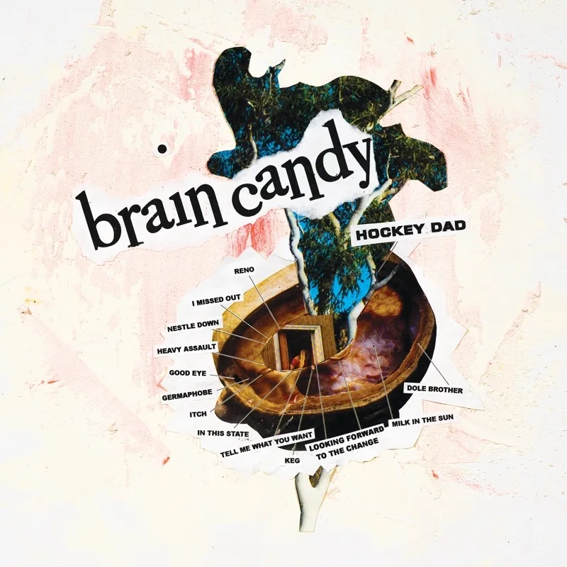 Album artwork for Brain Candy by Hockey Dad