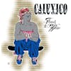 Album artwork for Feast of Wire by Calexico