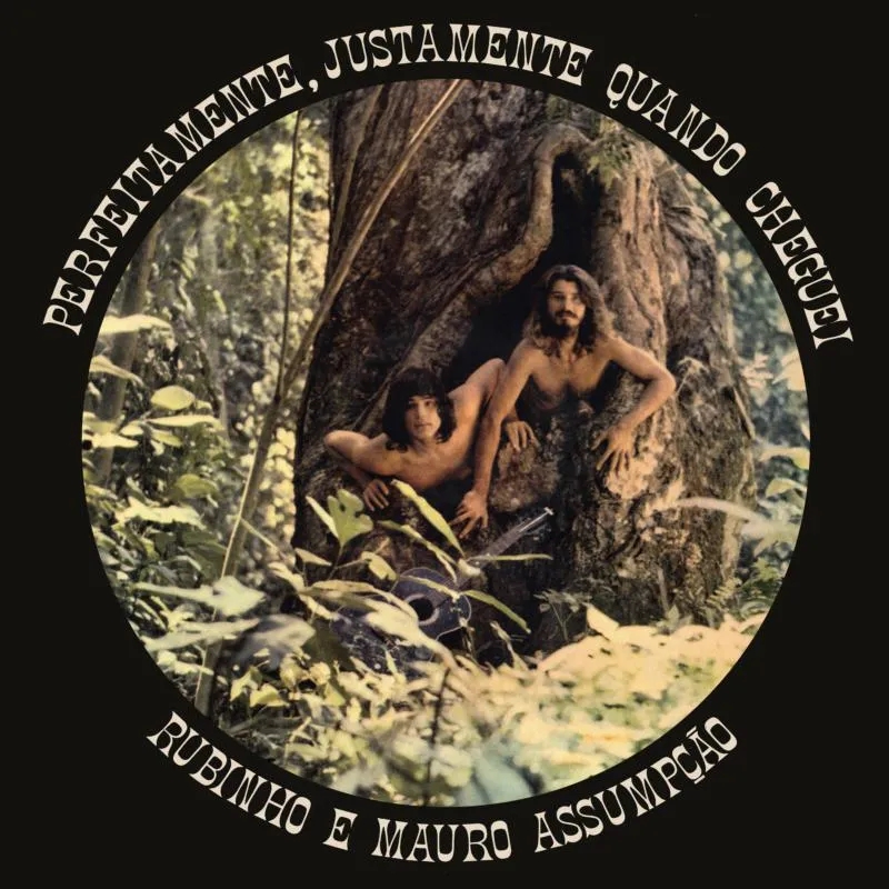 Album artwork for Perfeitamente, Justamente Quando Cheguei by Rubinho E Mauro Assumpcao