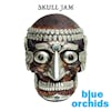 Album artwork for Skull Jam by The Blue Orchids