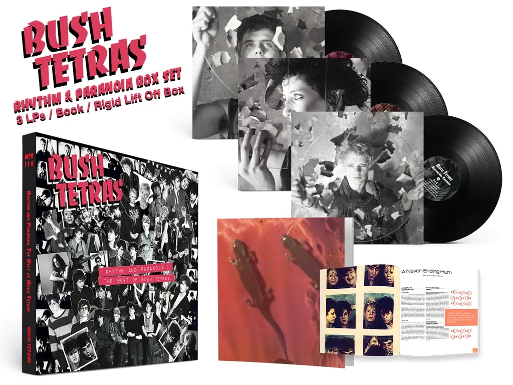 Album artwork for Album artwork for Rhythm and Paranoia: The Best of Bush Tetras by Bush Tetras by Rhythm and Paranoia: The Best of Bush Tetras - Bush Tetras