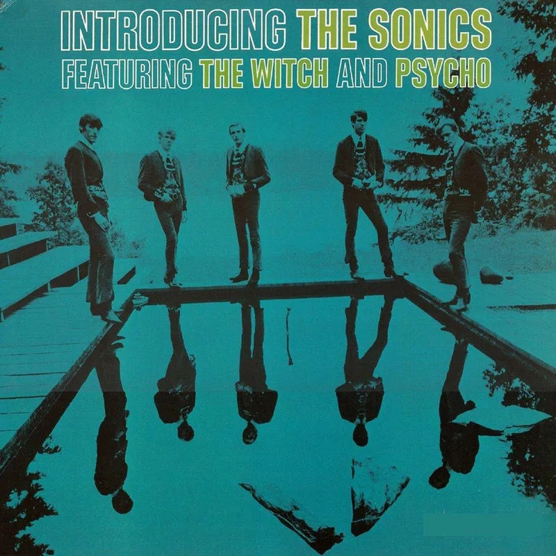 Album artwork for Introducing The Sonics by The Sonics