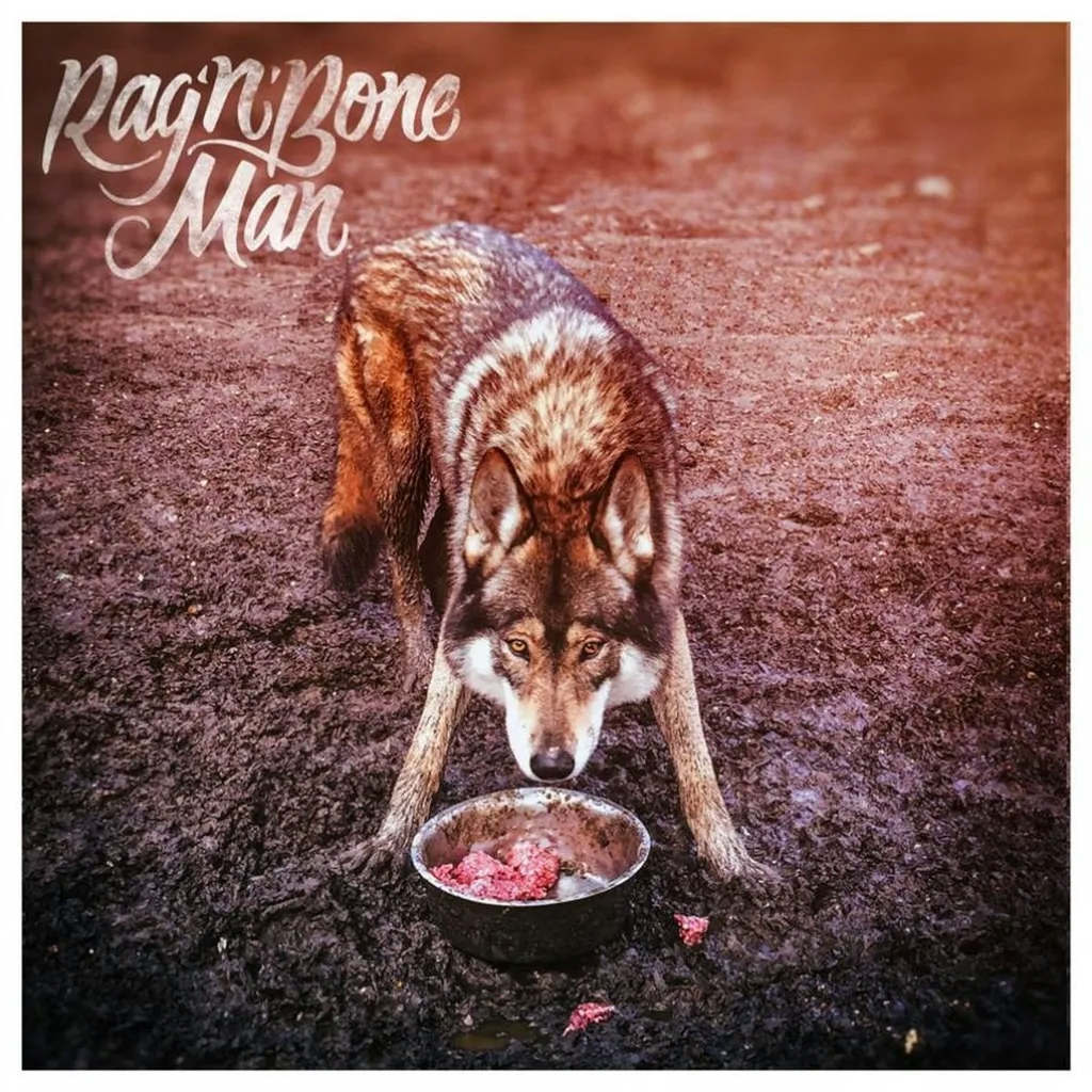 Album artwork for Wolves EP by Rag N Bone Man