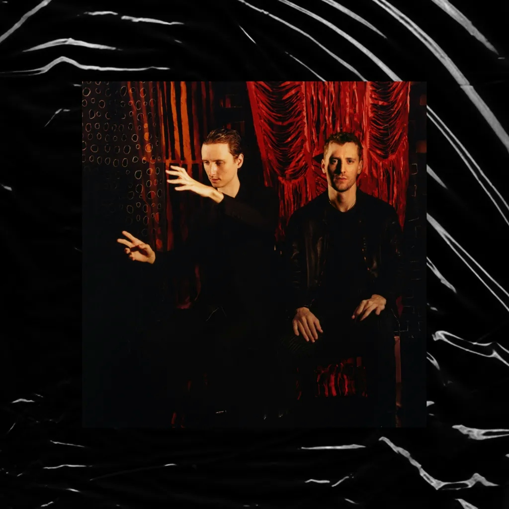 Album artwork for Inside The Rose by These New Puritans
