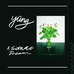 Album artwork for A Youthful Dream by Yung