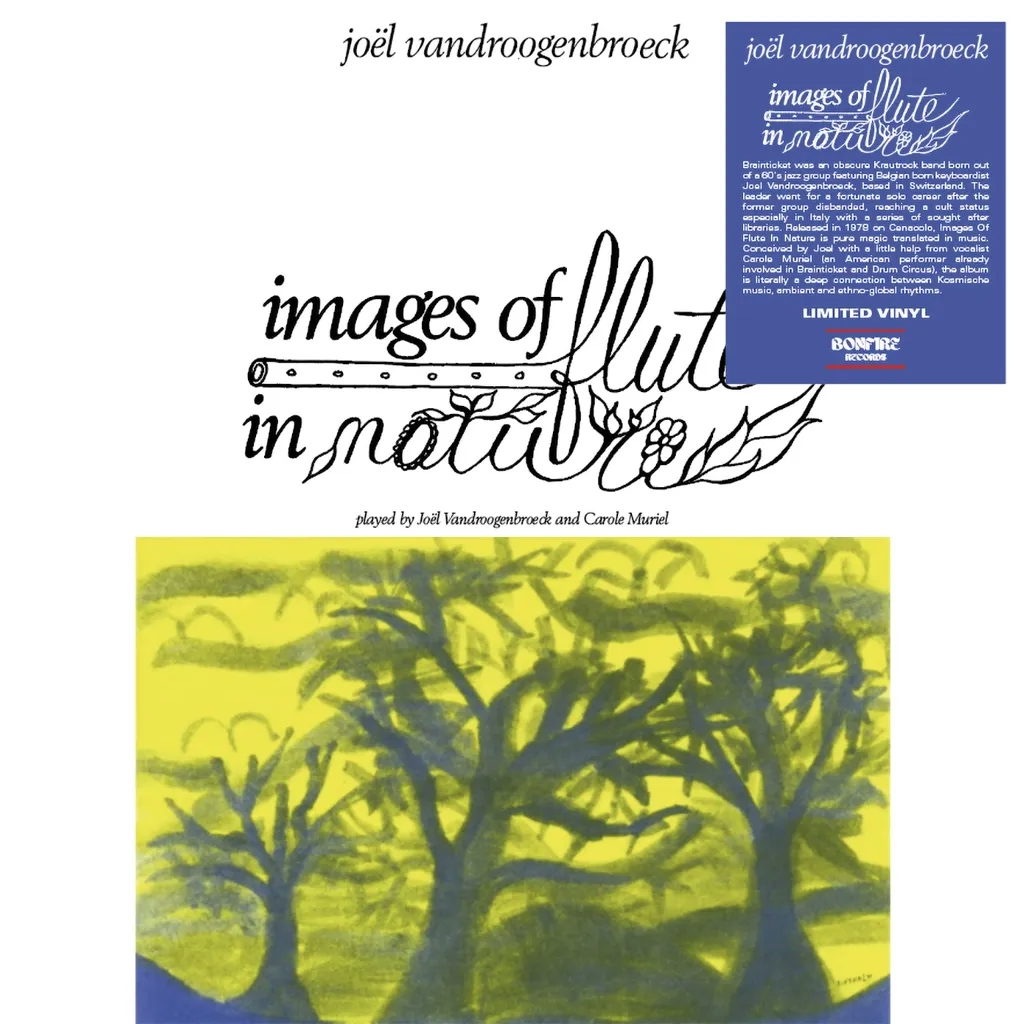 Album artwork for Images Of Flute In Nature by Joel Vandroogenbroeck