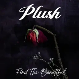 Album artwork for Find The Beautiful by Plush
