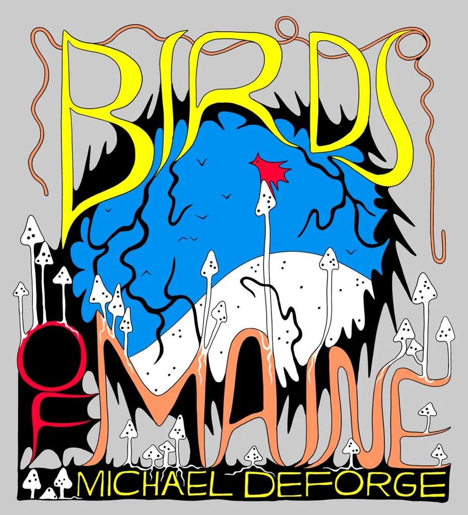 Album artwork for Birds of Maine by Michael DeForge