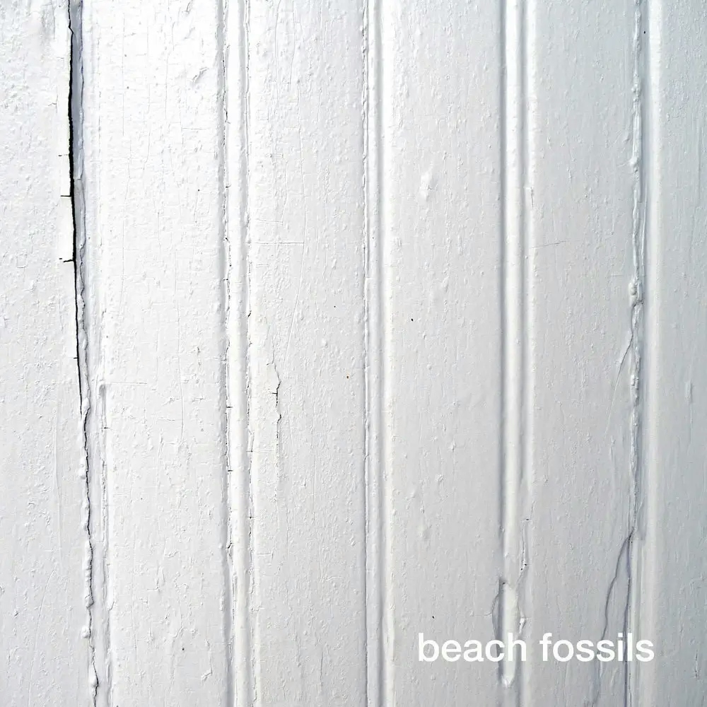 Album artwork for Beach Fossils (Reissue) by Beach Fossils