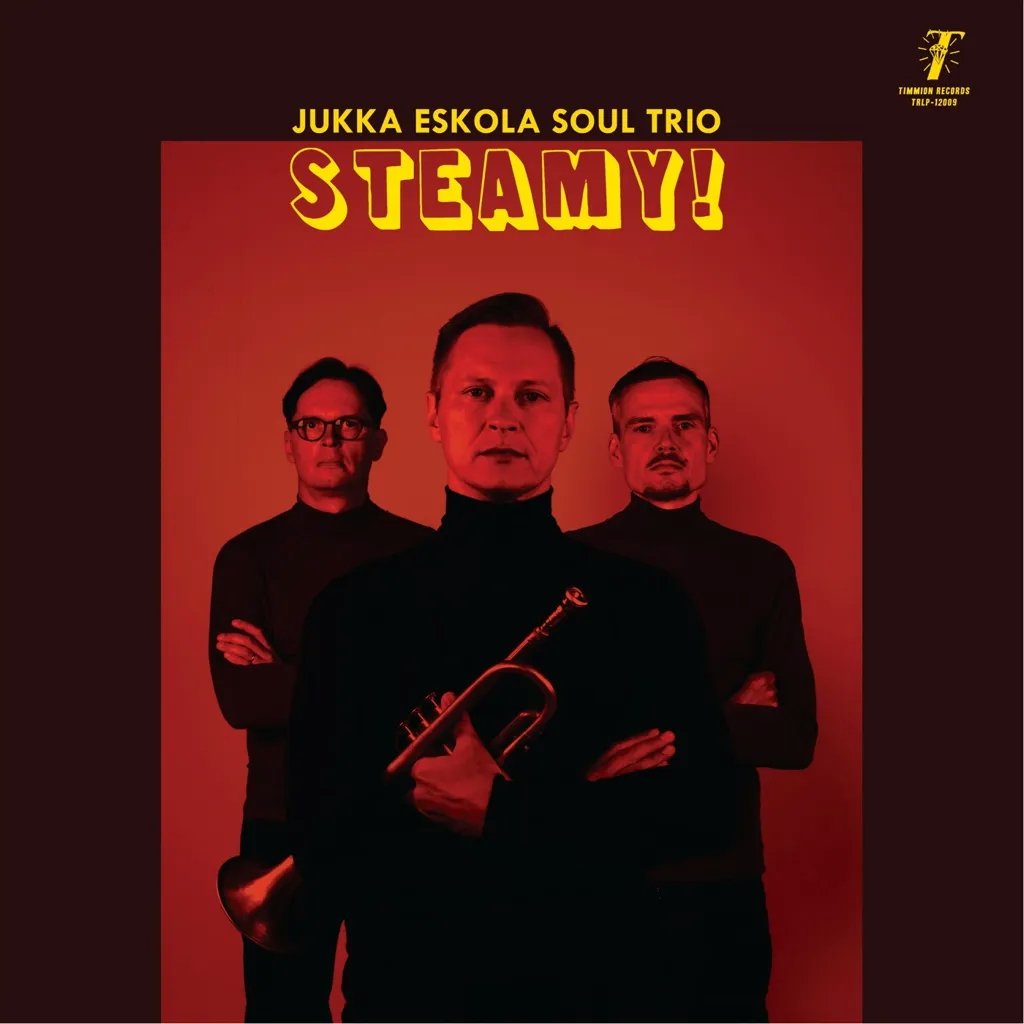 Album artwork for Steamyl by Jukka Eskola Soul Trio