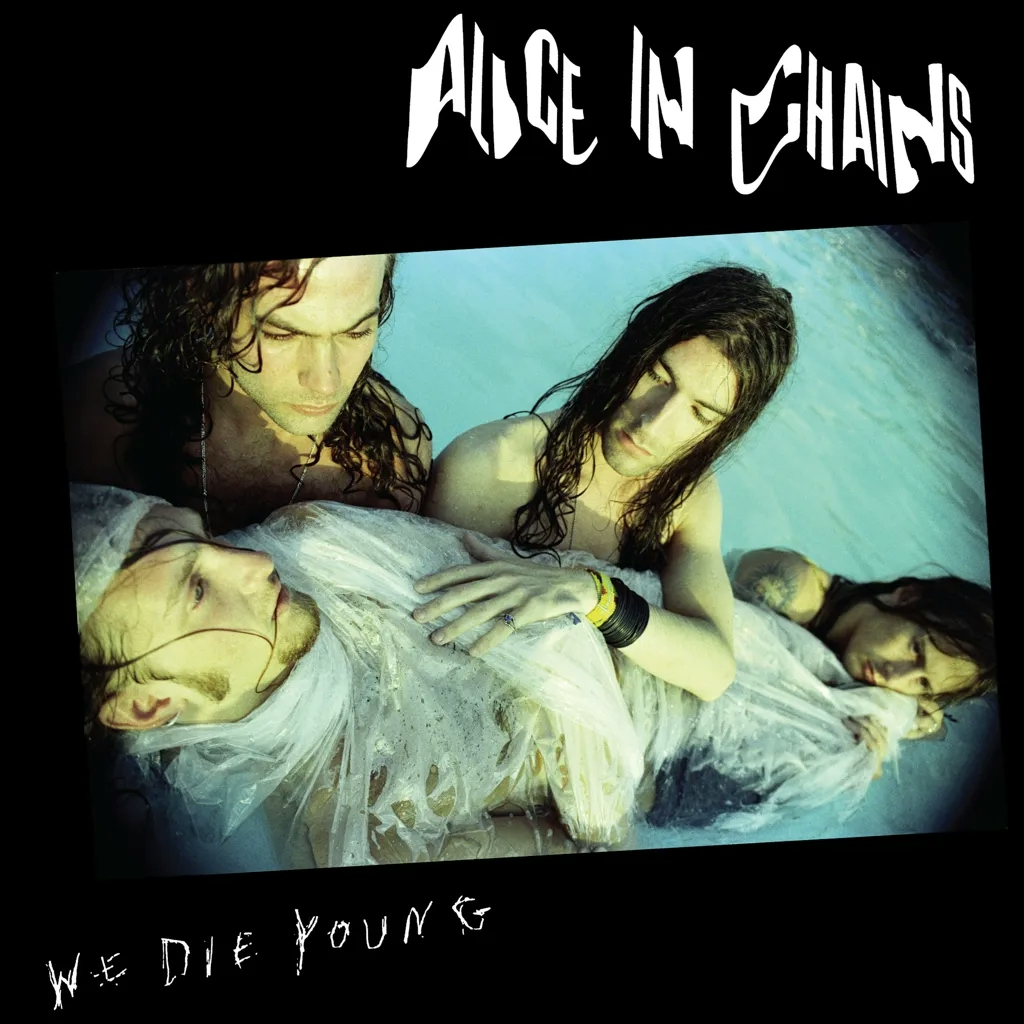 Album artwork for We Die Young by Alice In Chains