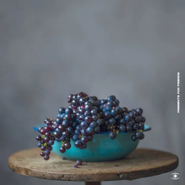 Album artwork for Ubuntu, Stringworx, Presents For Friends by Reinhard Vanbergen