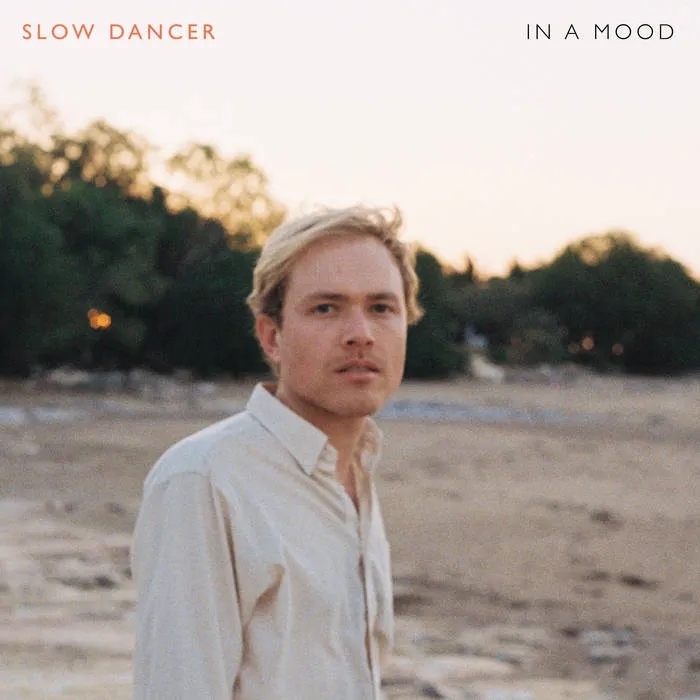 Album artwork for In a Mood by Slow Dancer