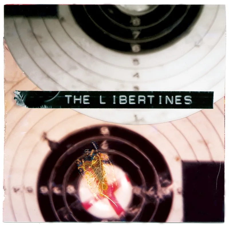 Album artwork for What A Waster by The Libertines