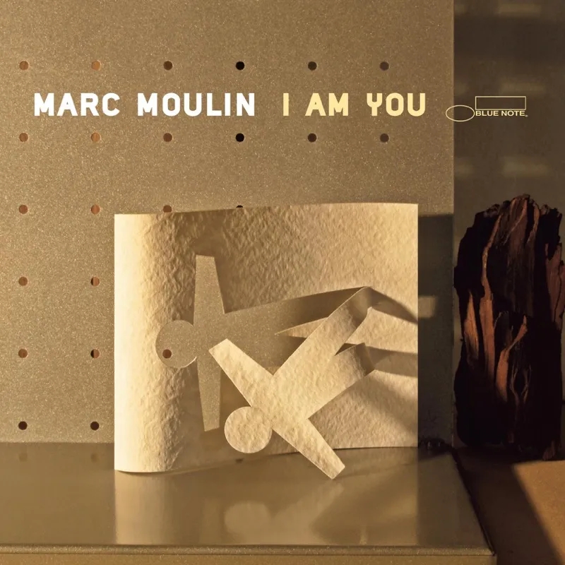 Album artwork for I Am You by Marc Moulin