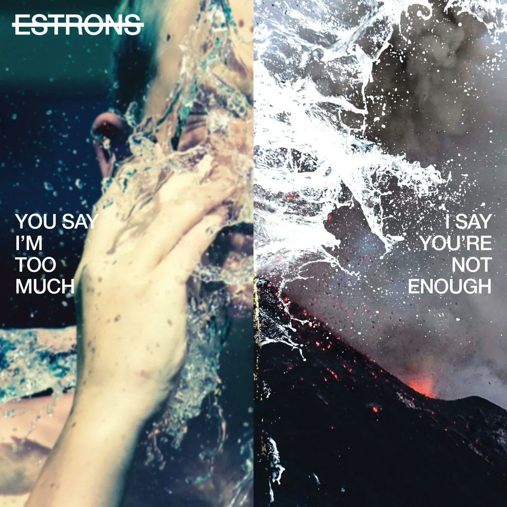 Album artwork for You Say I'm Too Much, I Say You're Not Enough by Estrons