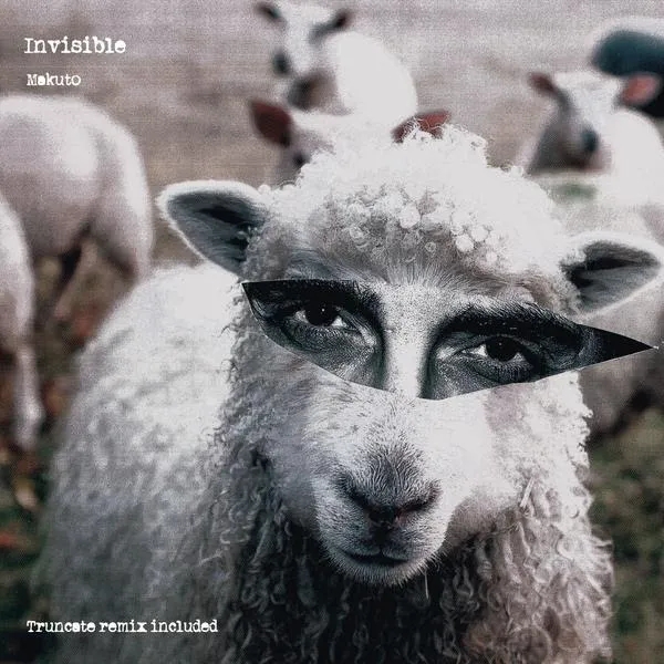 Album artwork for Invisible (Inc. Truncate remix) by Makuto